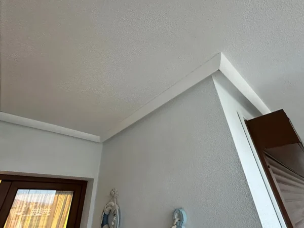 dana-Alejandro-Llaneza-homestar-32204-es-03