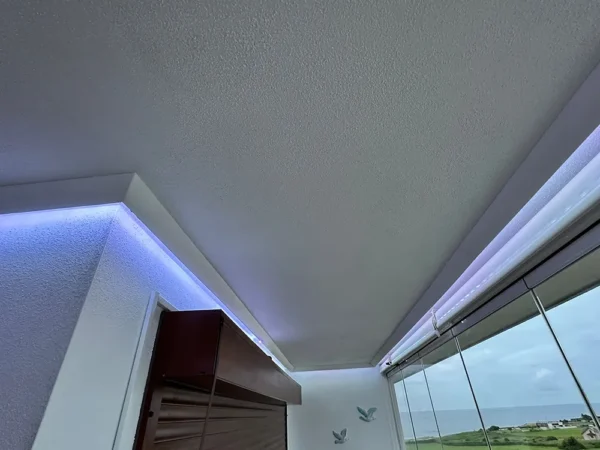 dana-Alejandro-Llaneza-homestar-32204-es-06